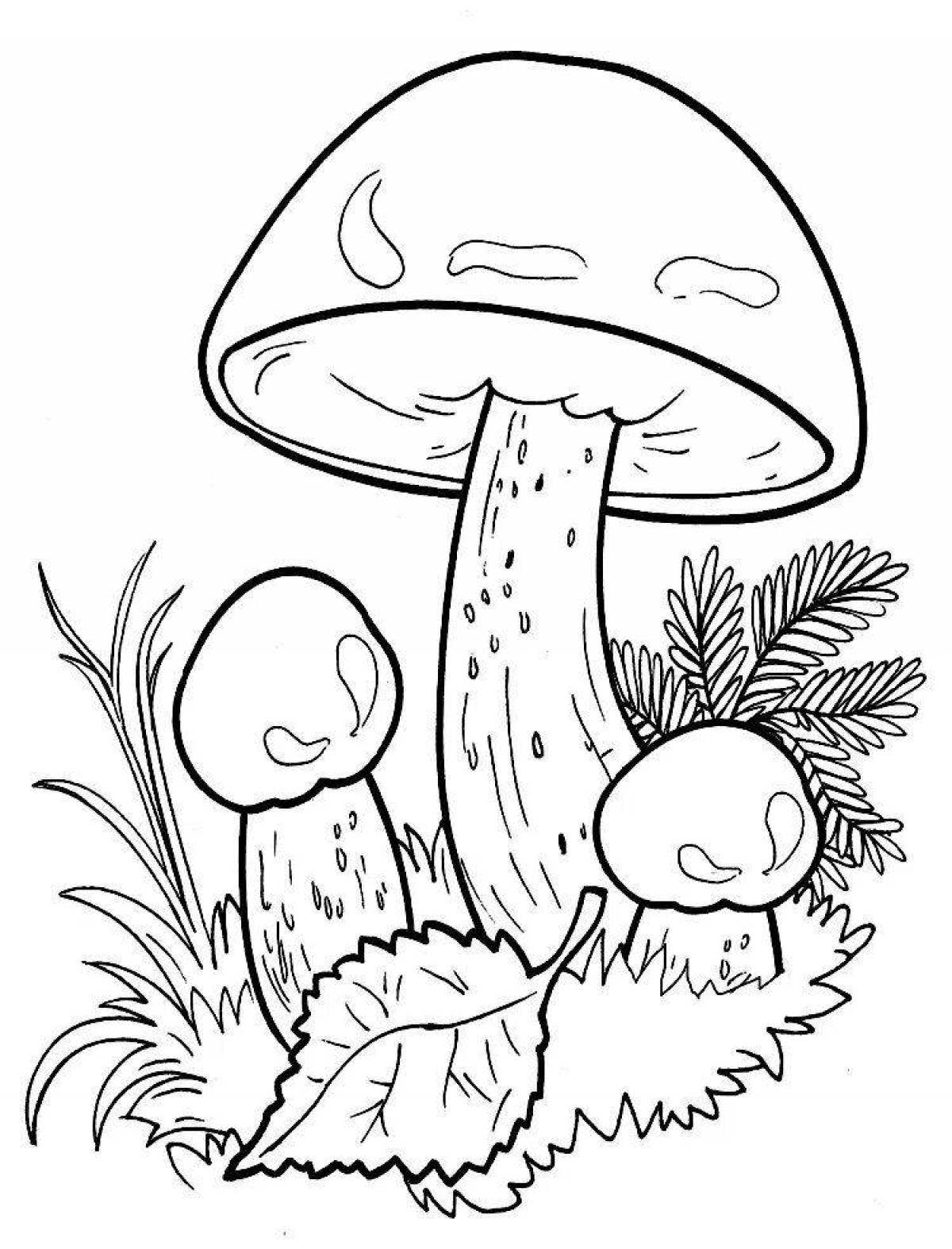 Coloring boletus