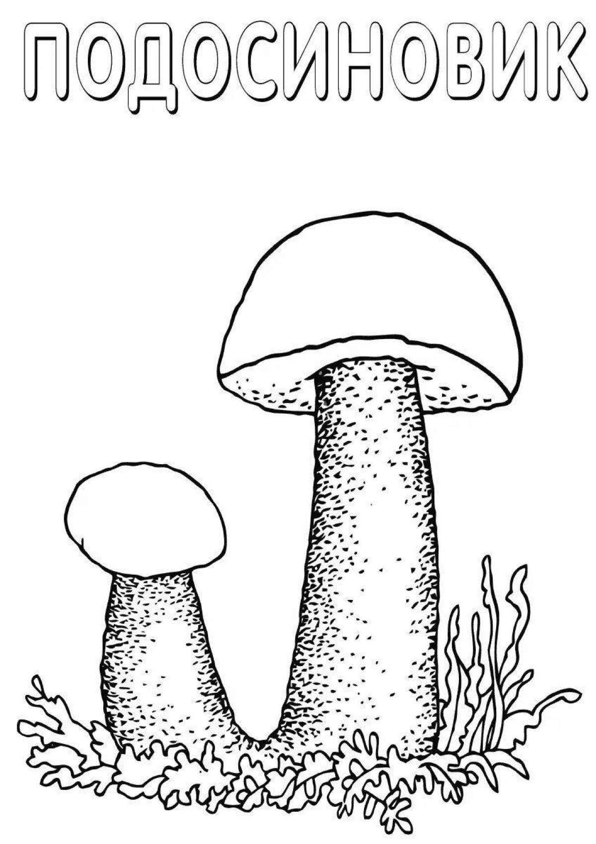 Mysterious boletus coloring book