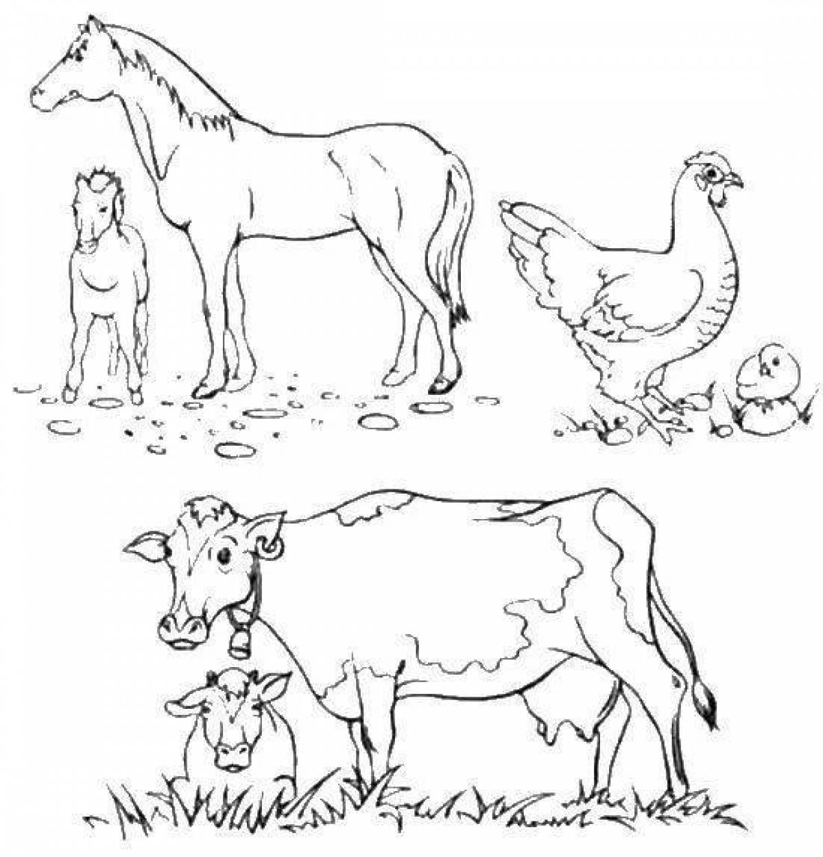 Яркая раскраска januarlar sureti