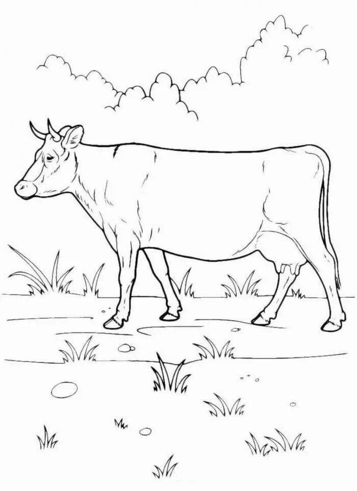 Яркая раскраска januarlar sureti coloring page