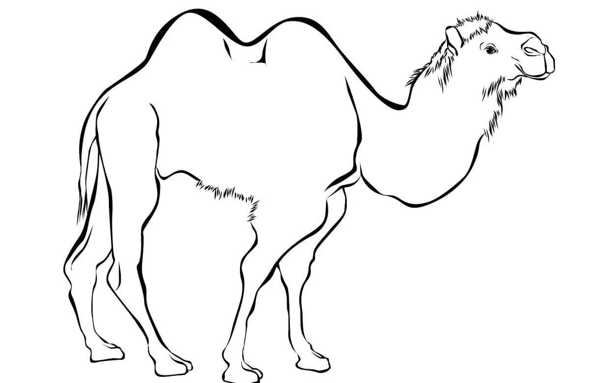 Color-frenzy januarlar sureti coloring page