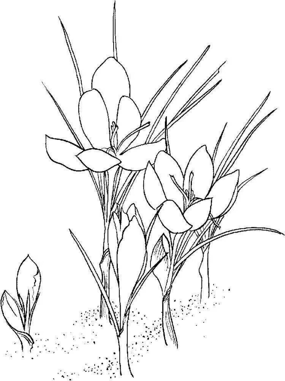 Картина на холсте KIL Art Загадочный цветок сон-трава 122x81 см (835-1)