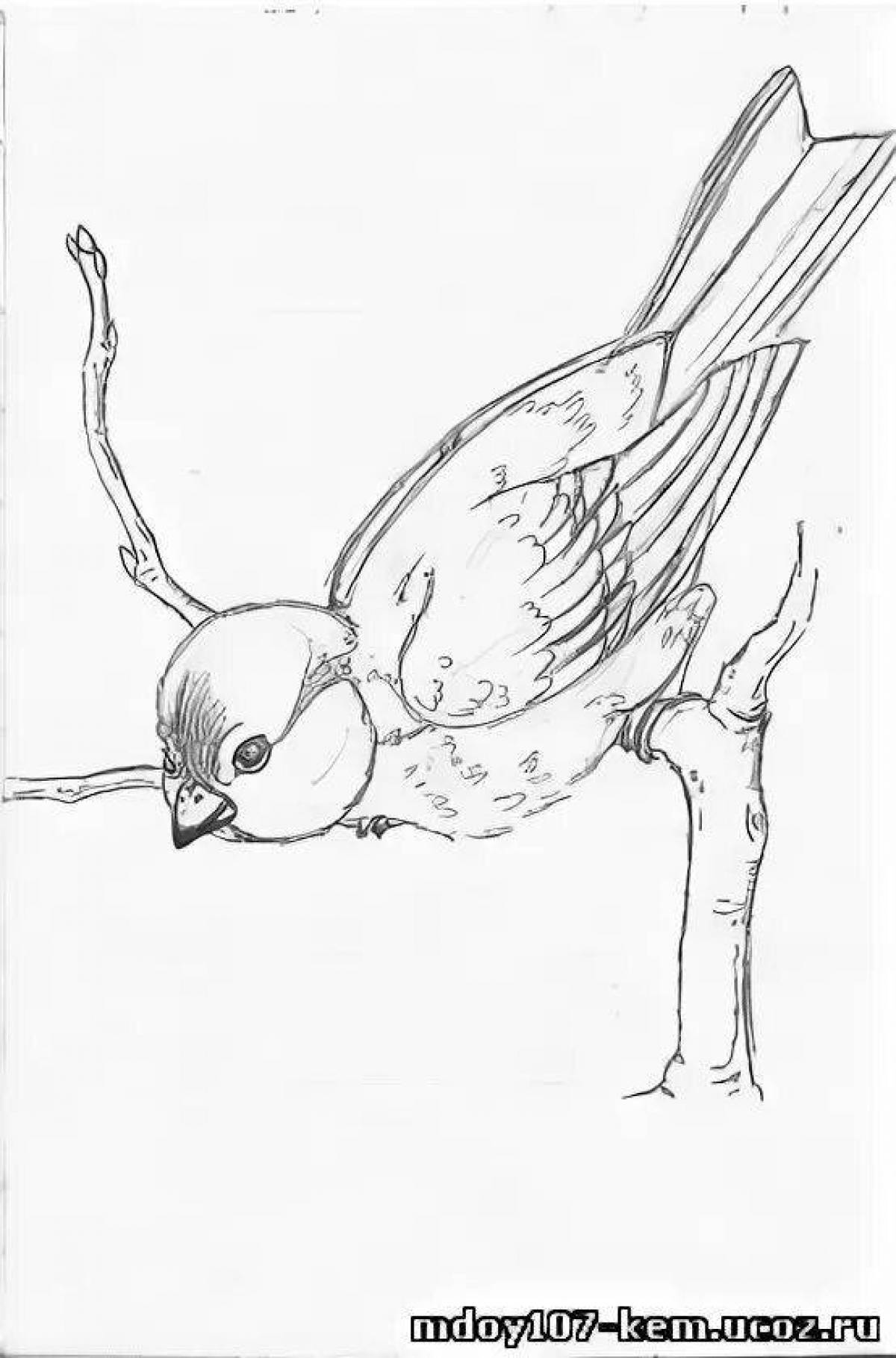 Кормушка для птиц рисунок раскраска