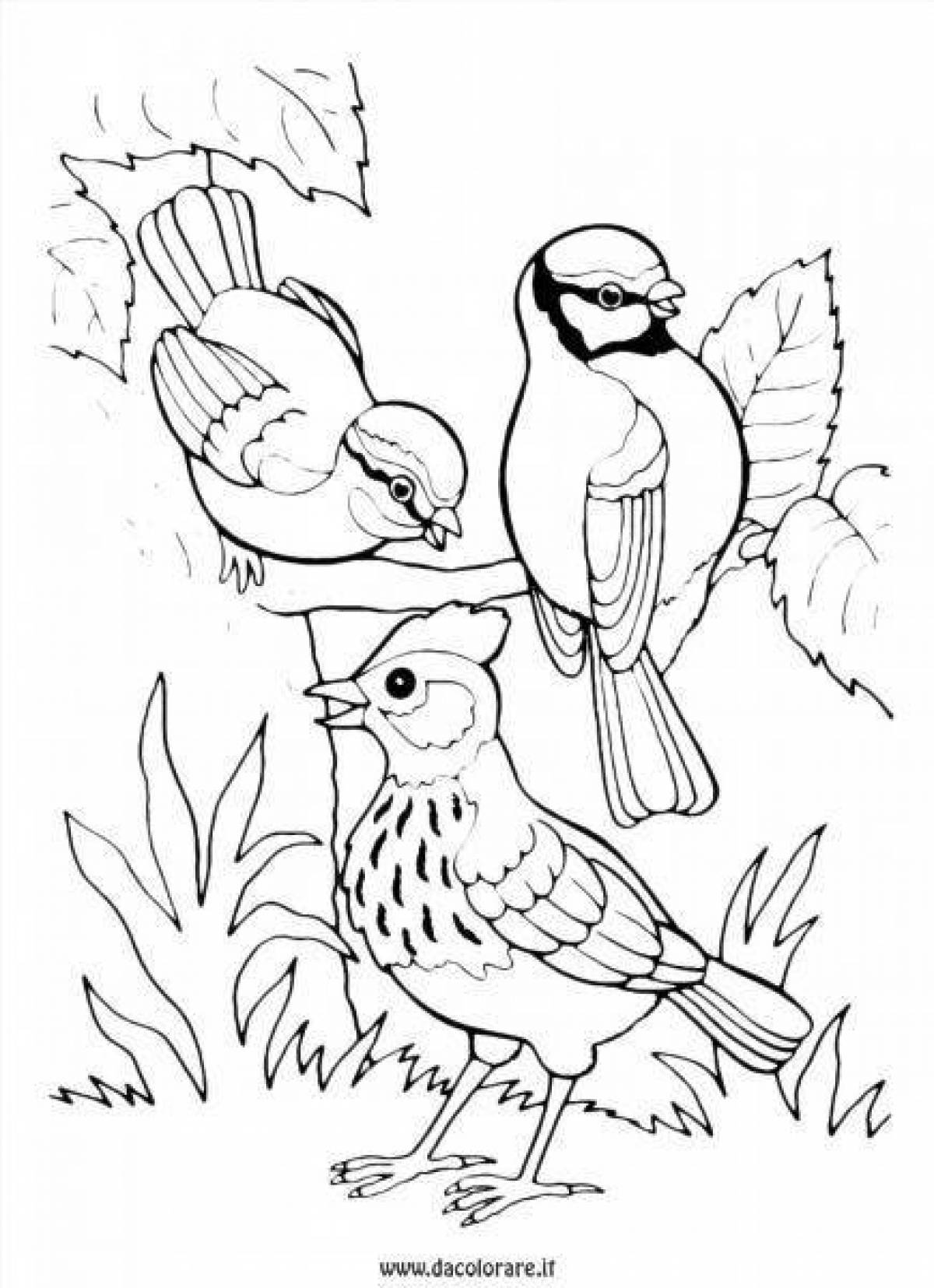 Птицы в лесу раскраска для детей