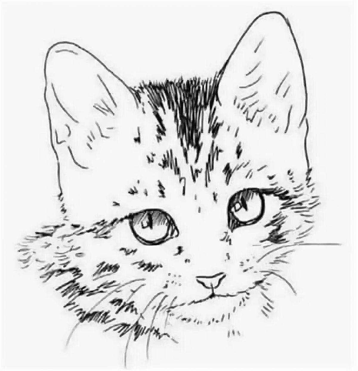 Как разукрасить кота
