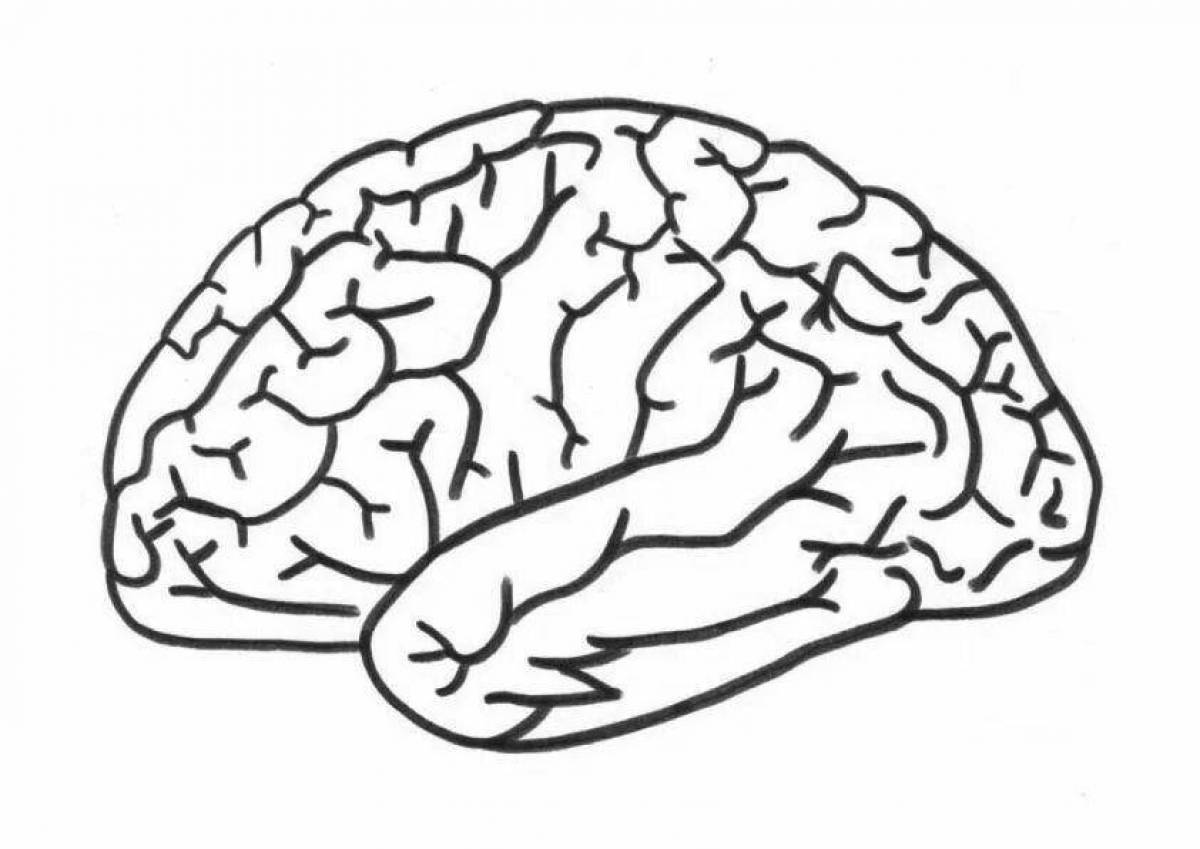 Radiant coloring page human brain