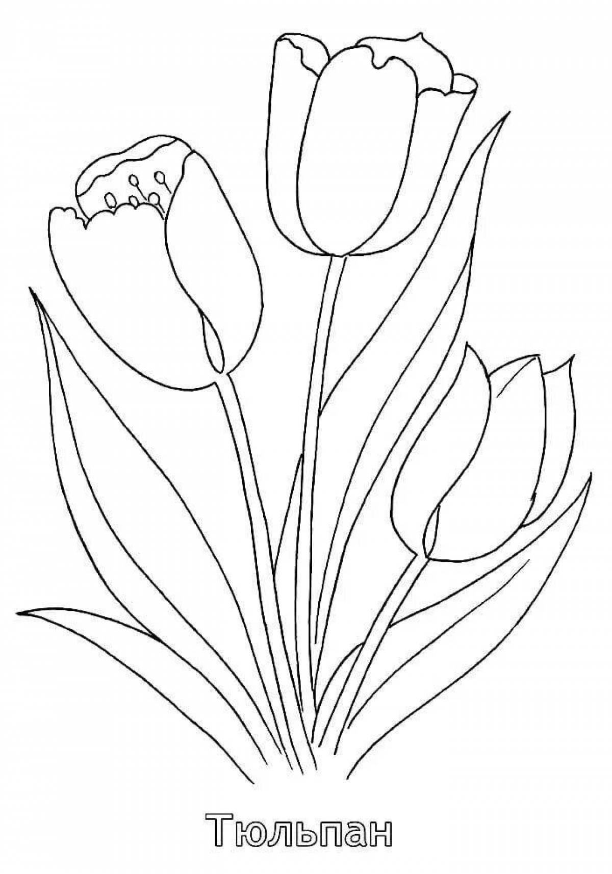 Coloring book bright bouquet of tulips