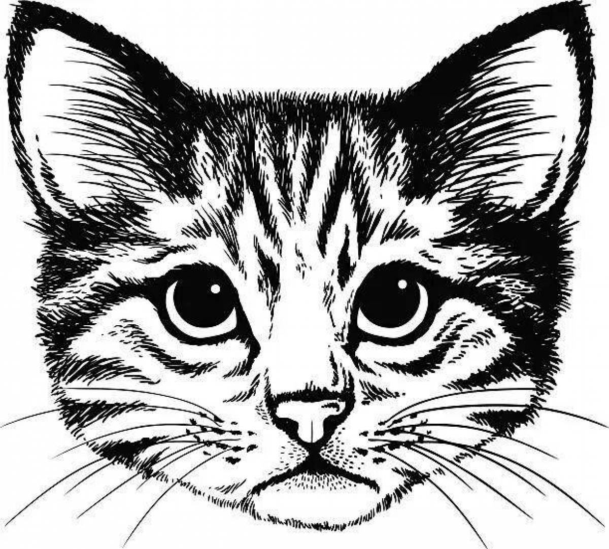 Majestic cat head coloring page