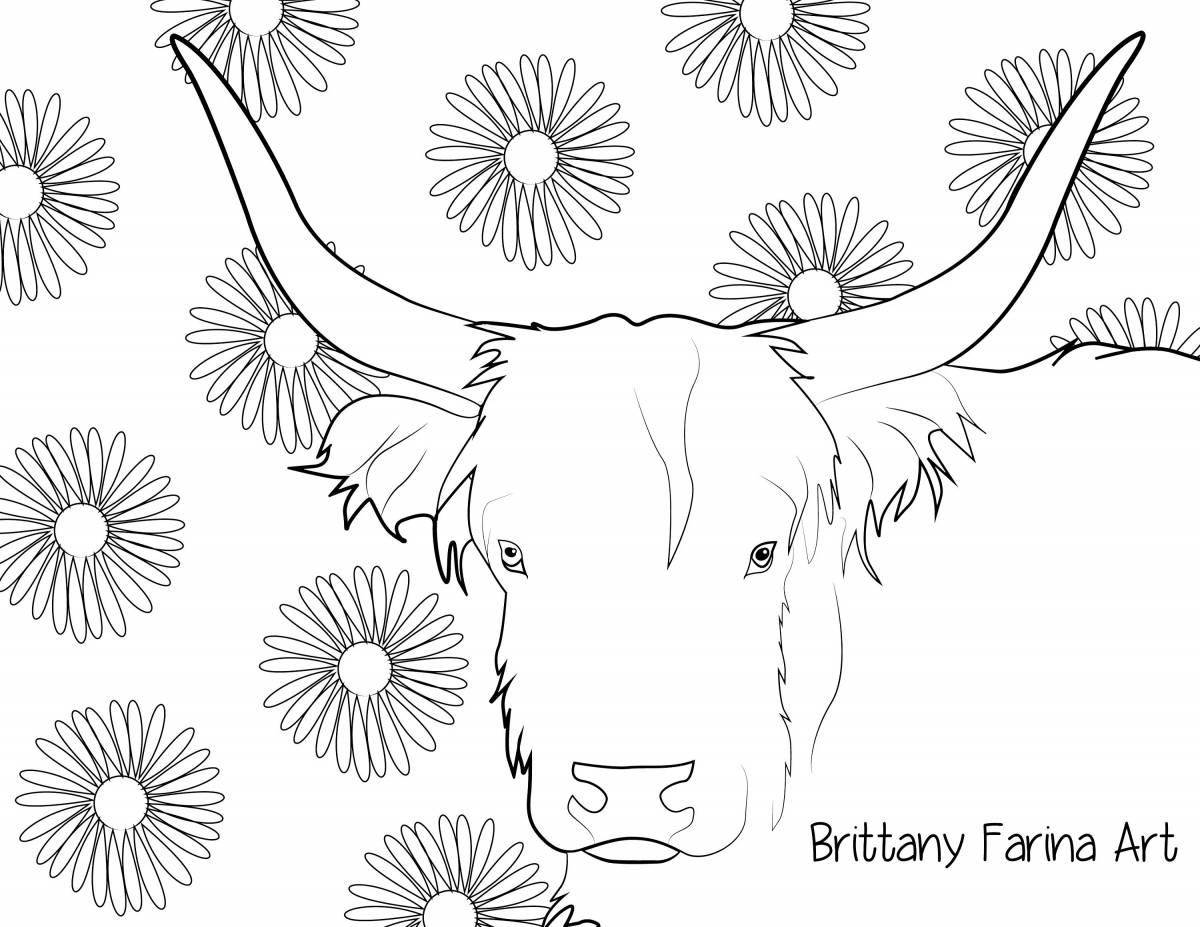Adorable cow coloring book