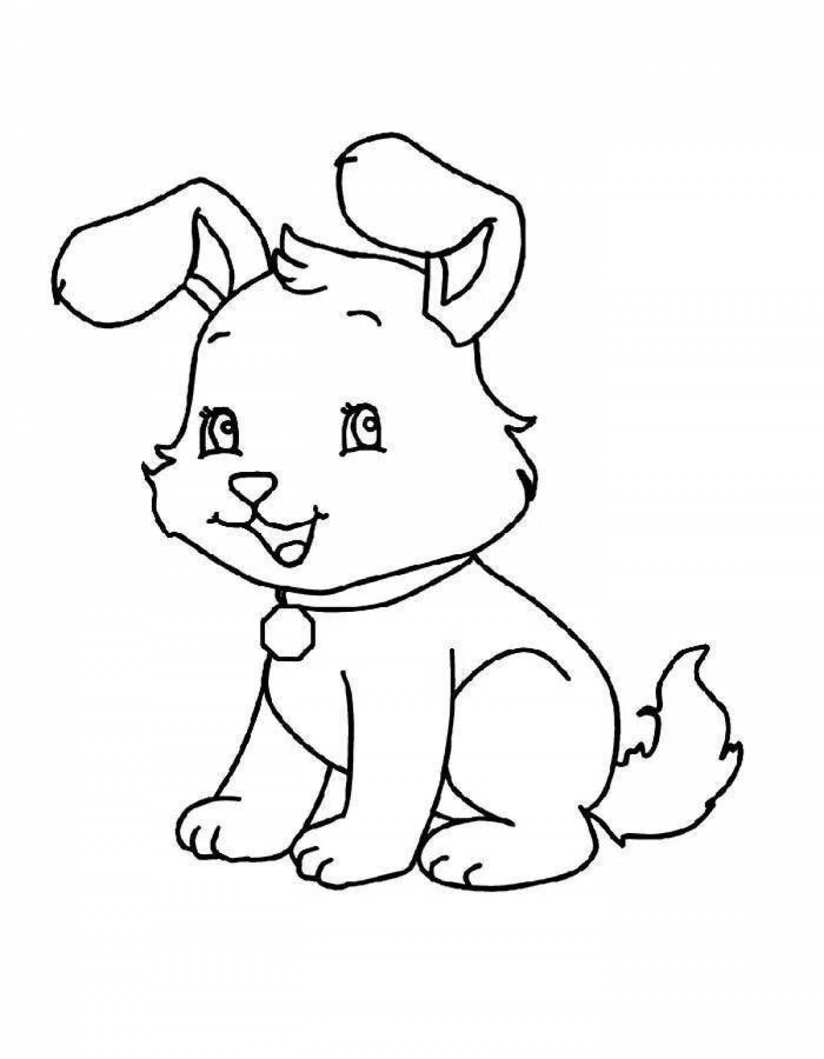 Animated coloring my pet