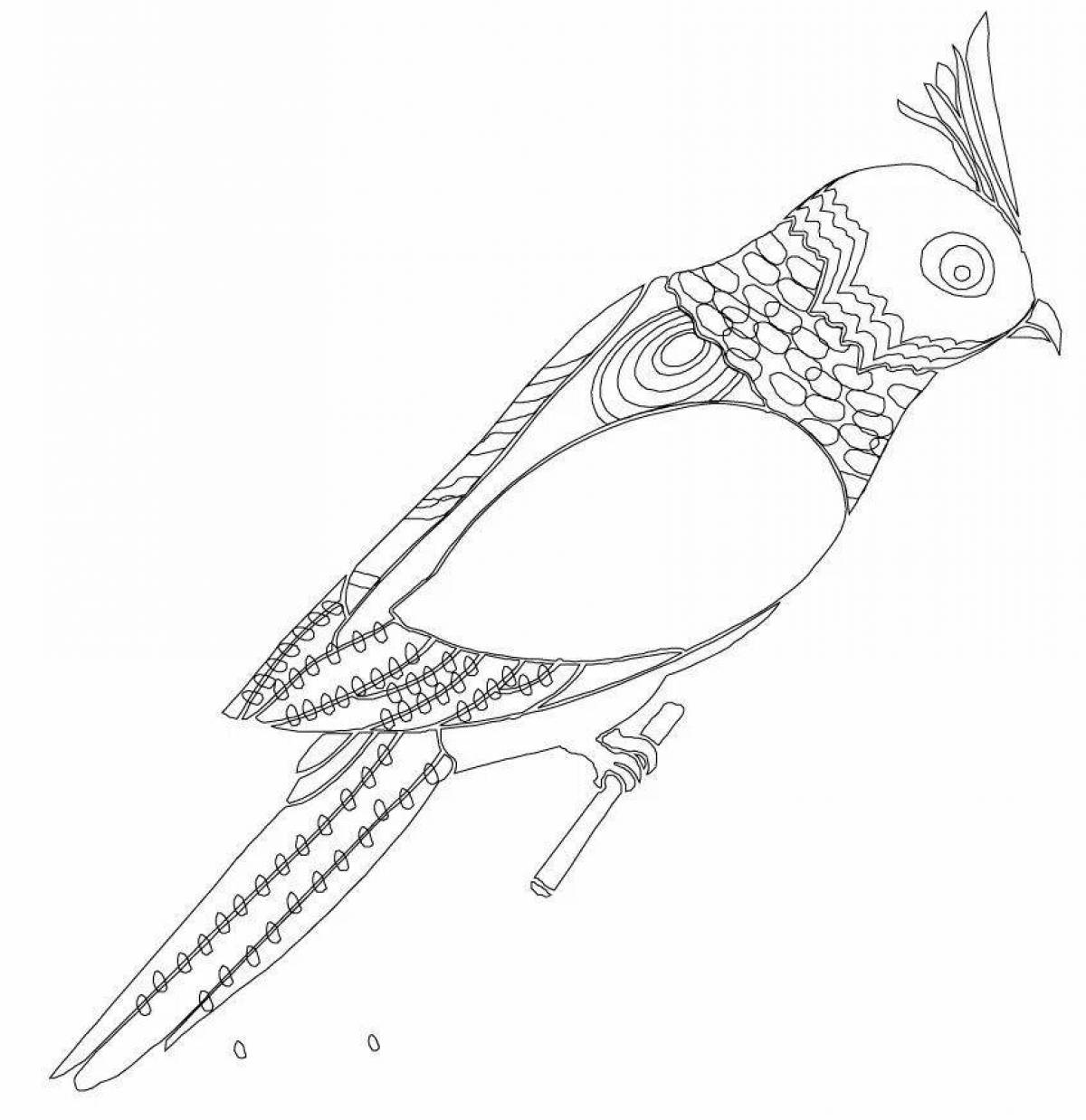 Animated budgerigar coloring page