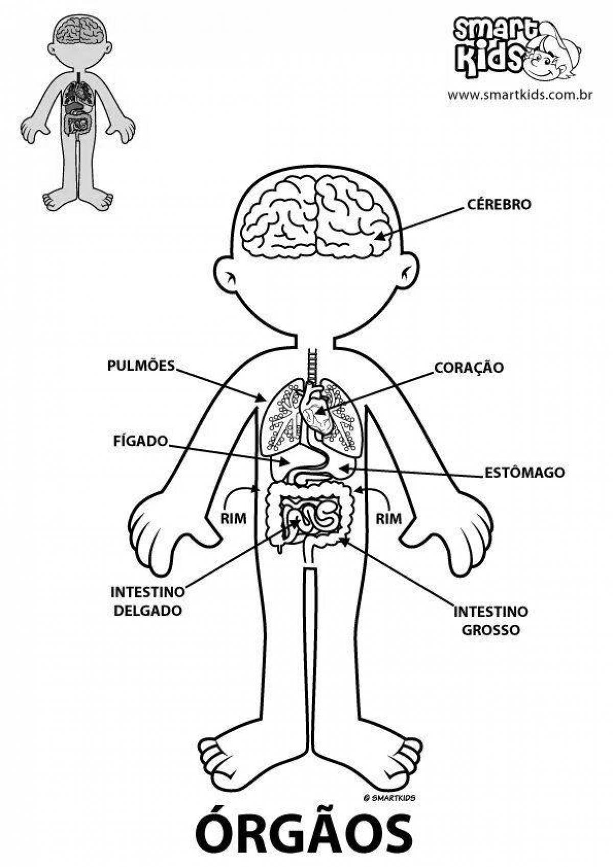 Charming coloring of the human body