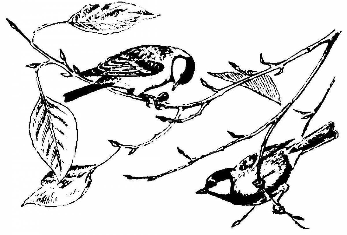 Coloring calendar funny tit