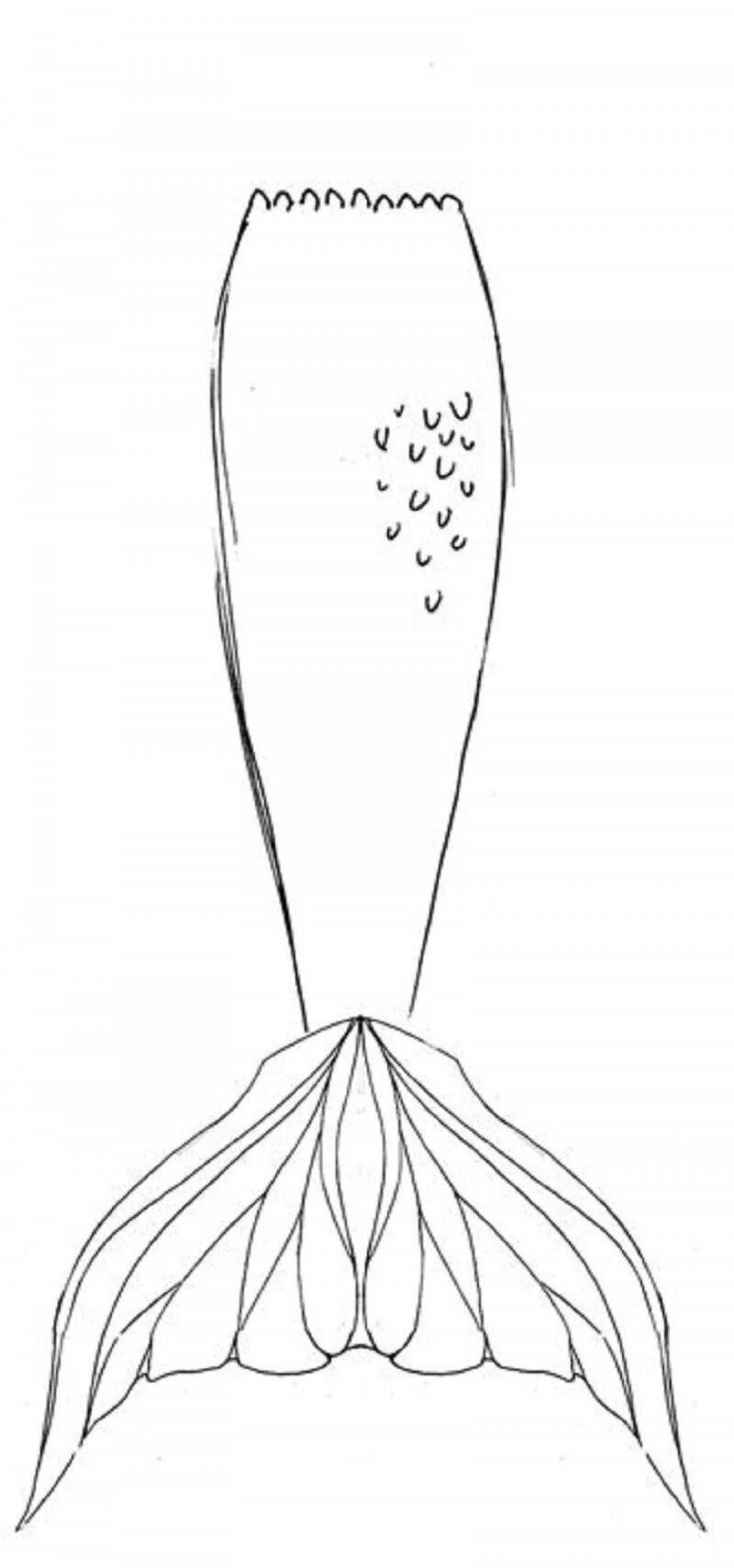 Fancy mermaid tail coloring page