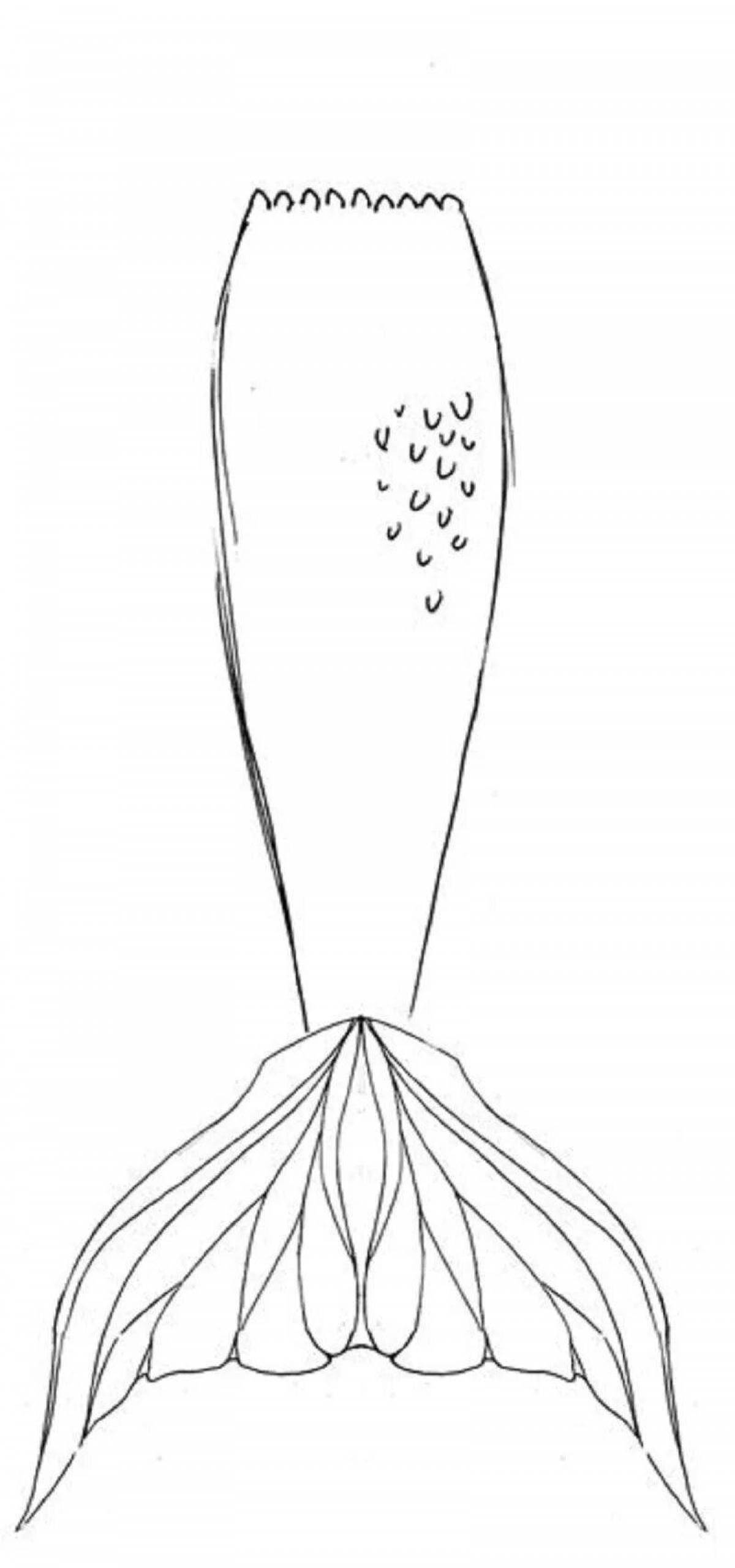 Раскраска хвост причудливой русалки