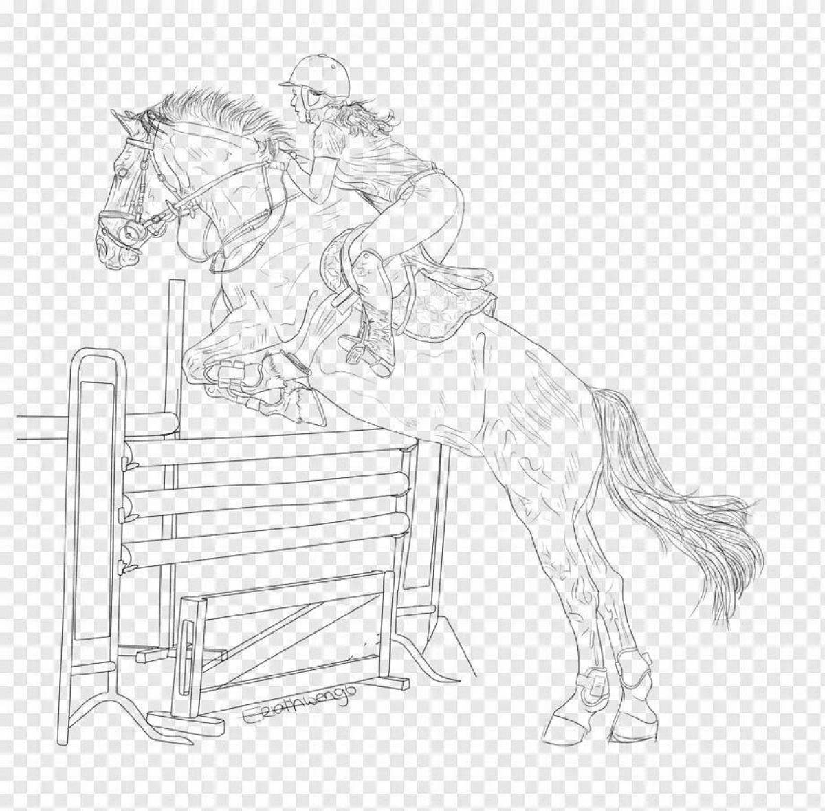 Coloring showjumping