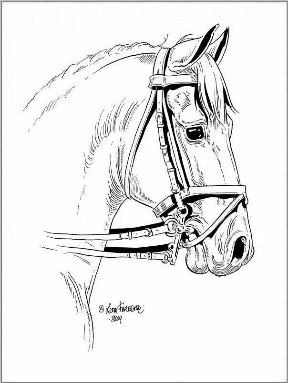 Flawless show jumping coloring page