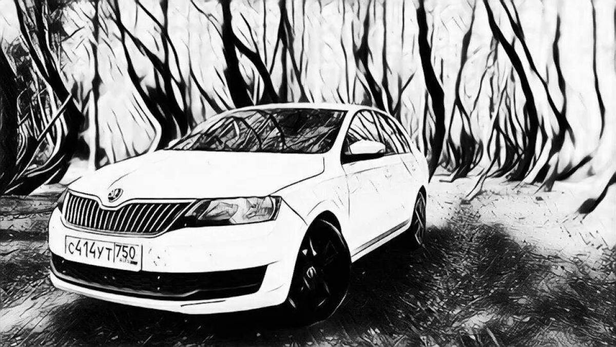 Fancy coloring skoda rapid