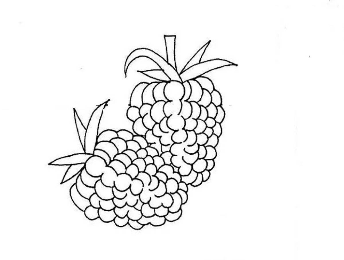 Photo Coloring book shining raspberry