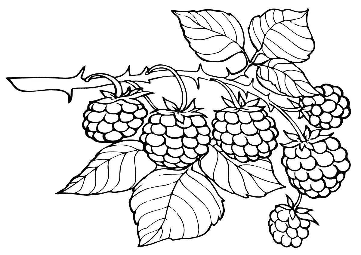 Glitter raspberry coloring page