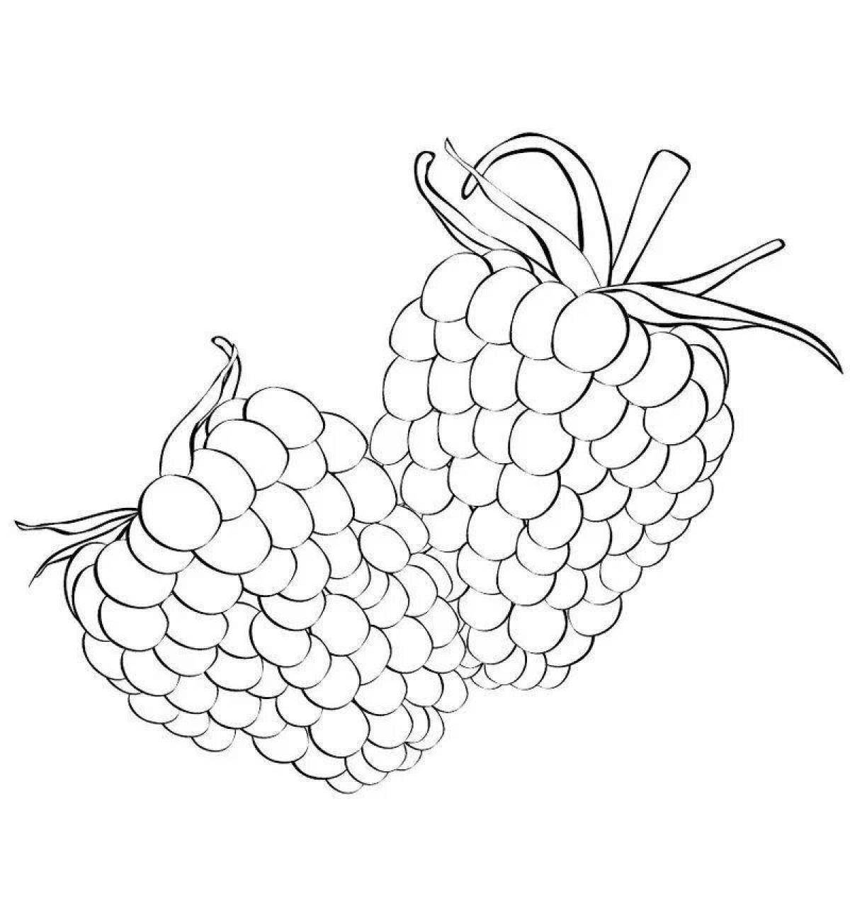 Coloring page funny raspberry