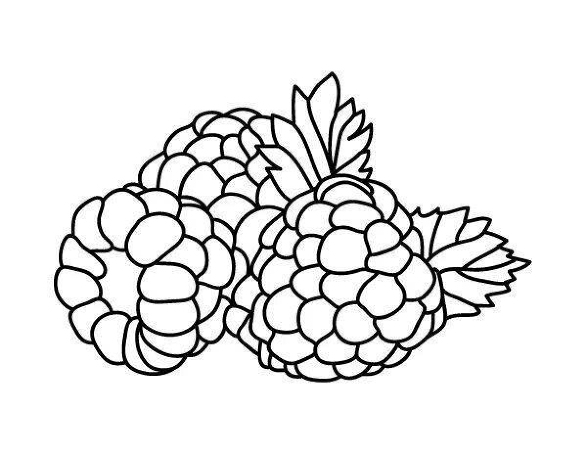 Photo Coloring page joyful raspberry