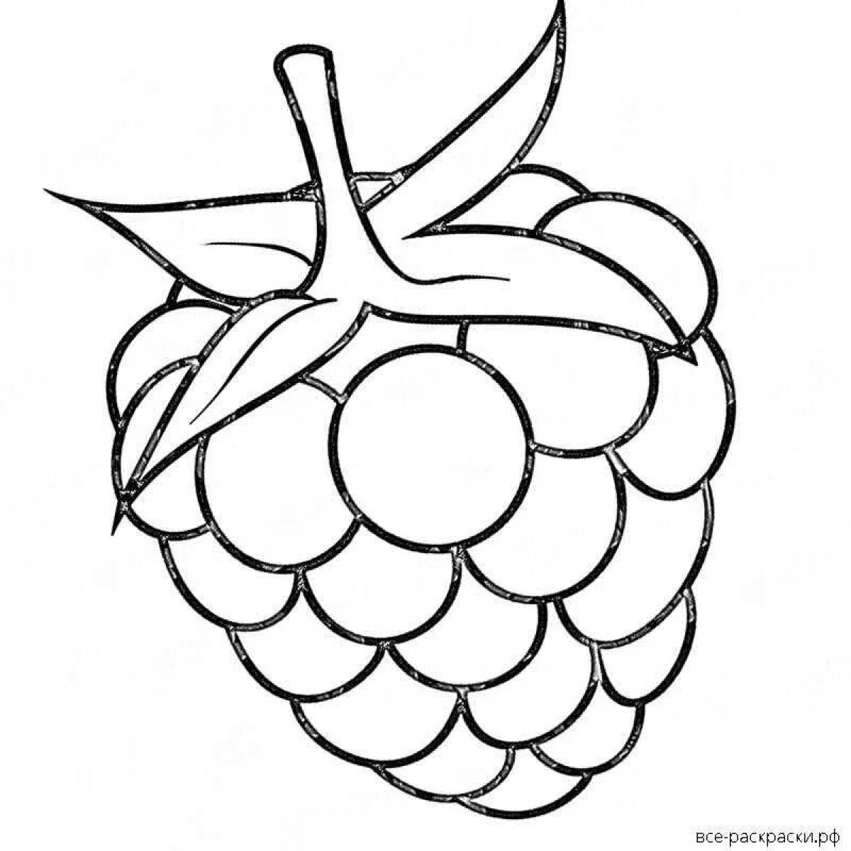 Glowing raspberry coloring page