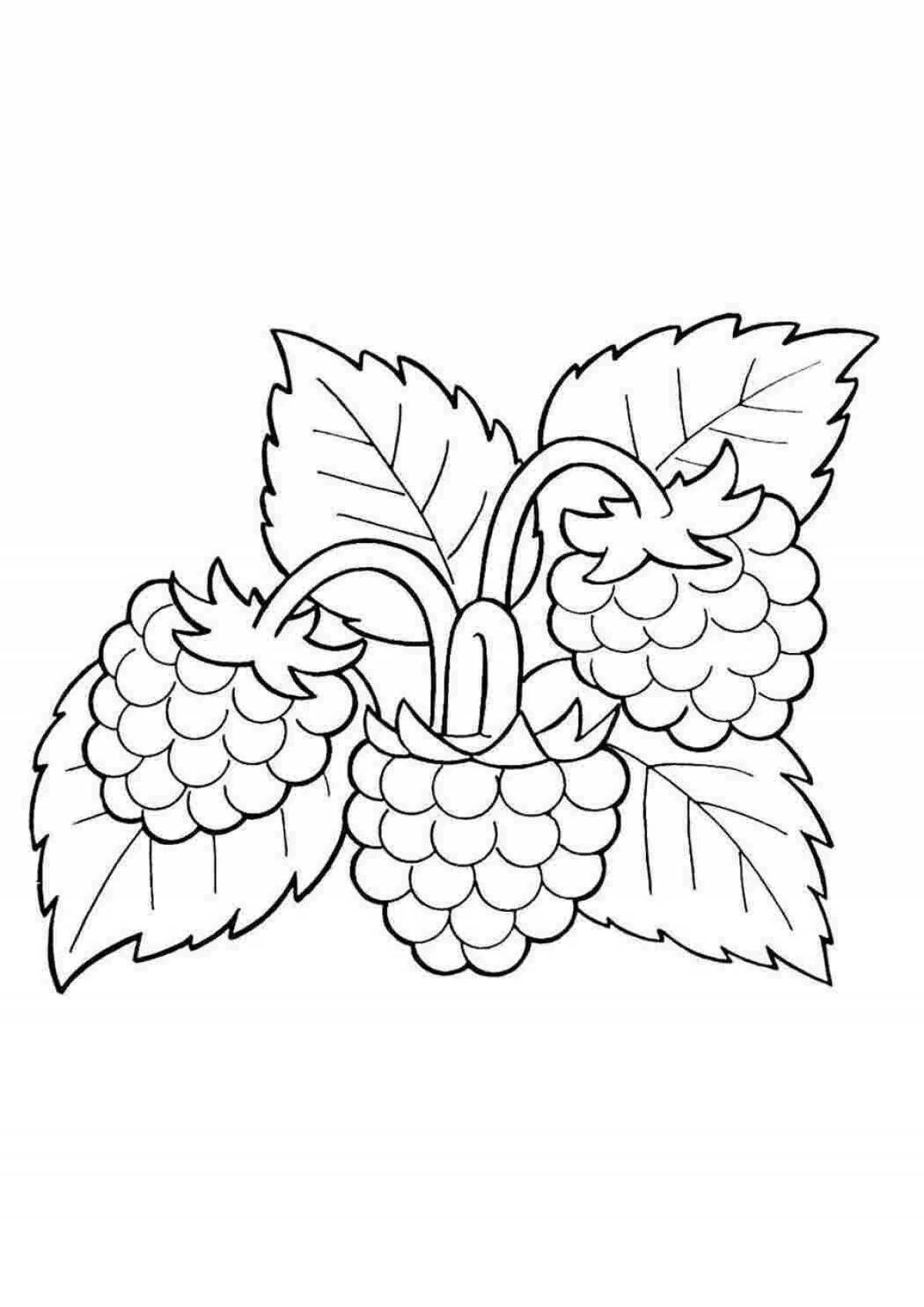 Sparkling raspberry coloring page