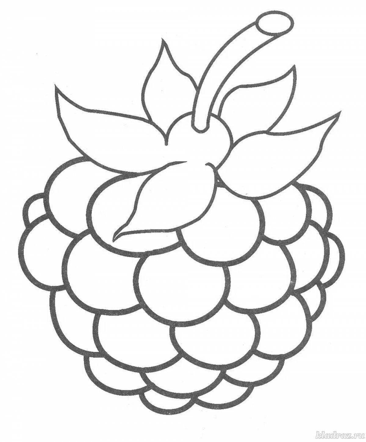 Colorful raspberry coloring book