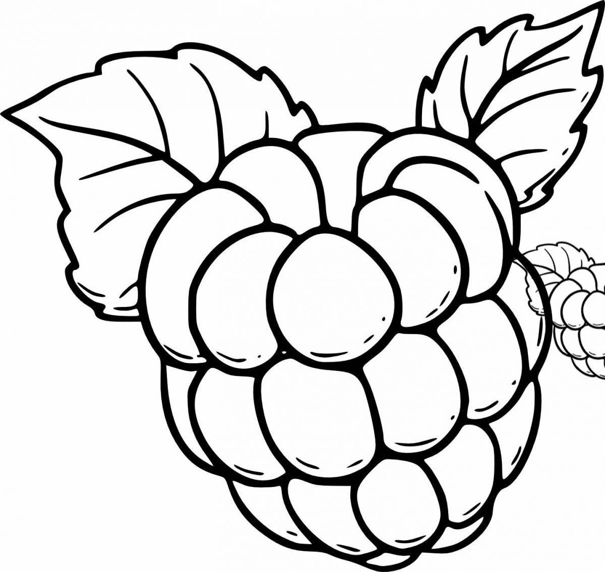 Coloring playful raspberry