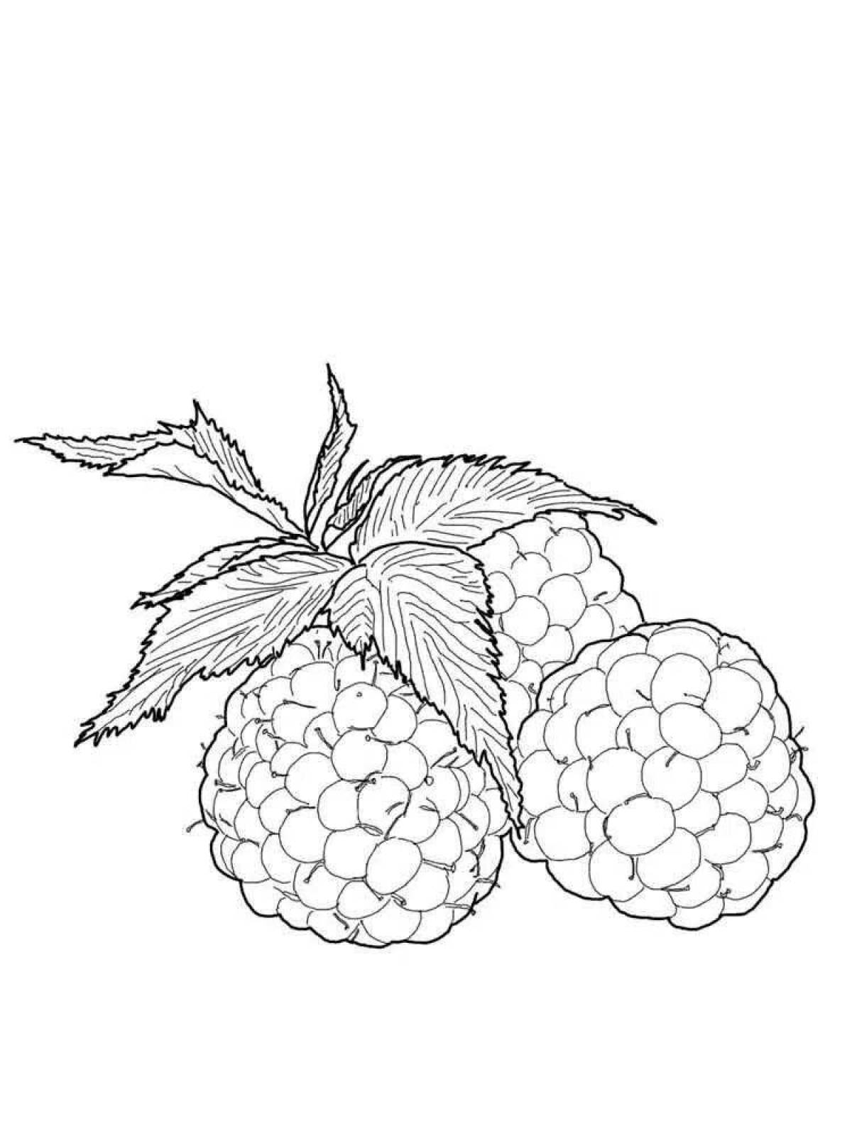 Sunny raspberry coloring page