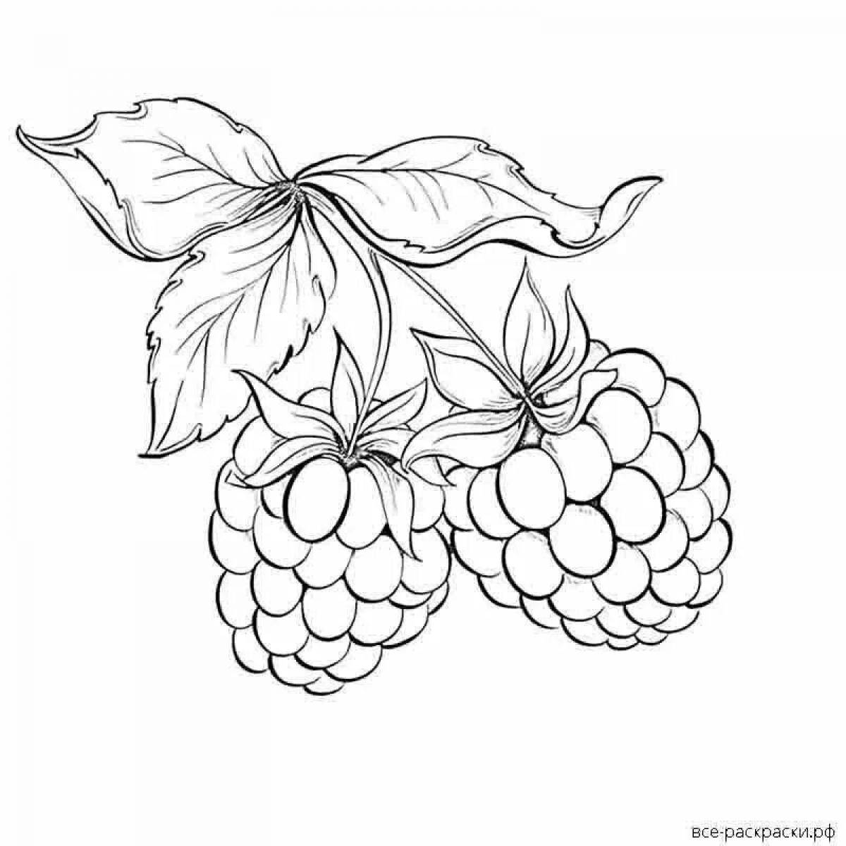 Coloring page nice raspberry