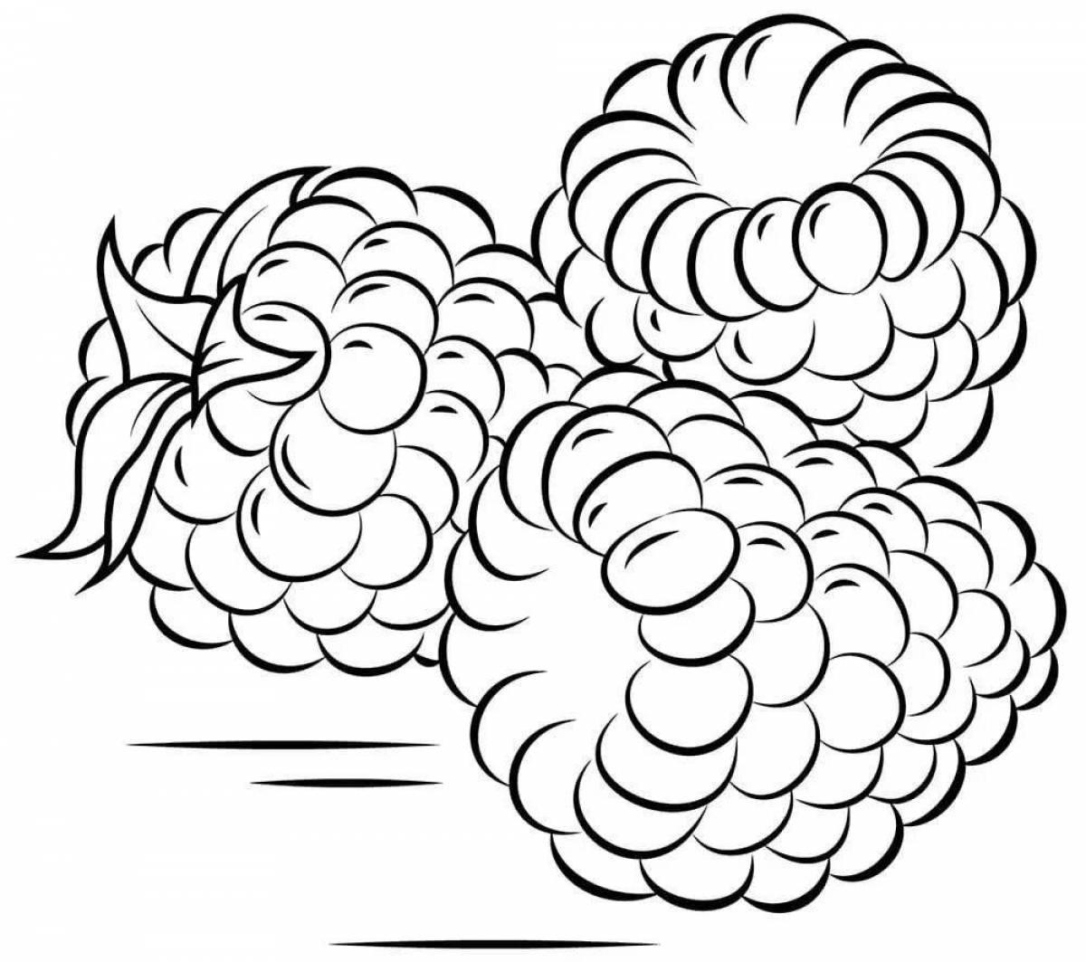 Photo Coloring wild raspberry