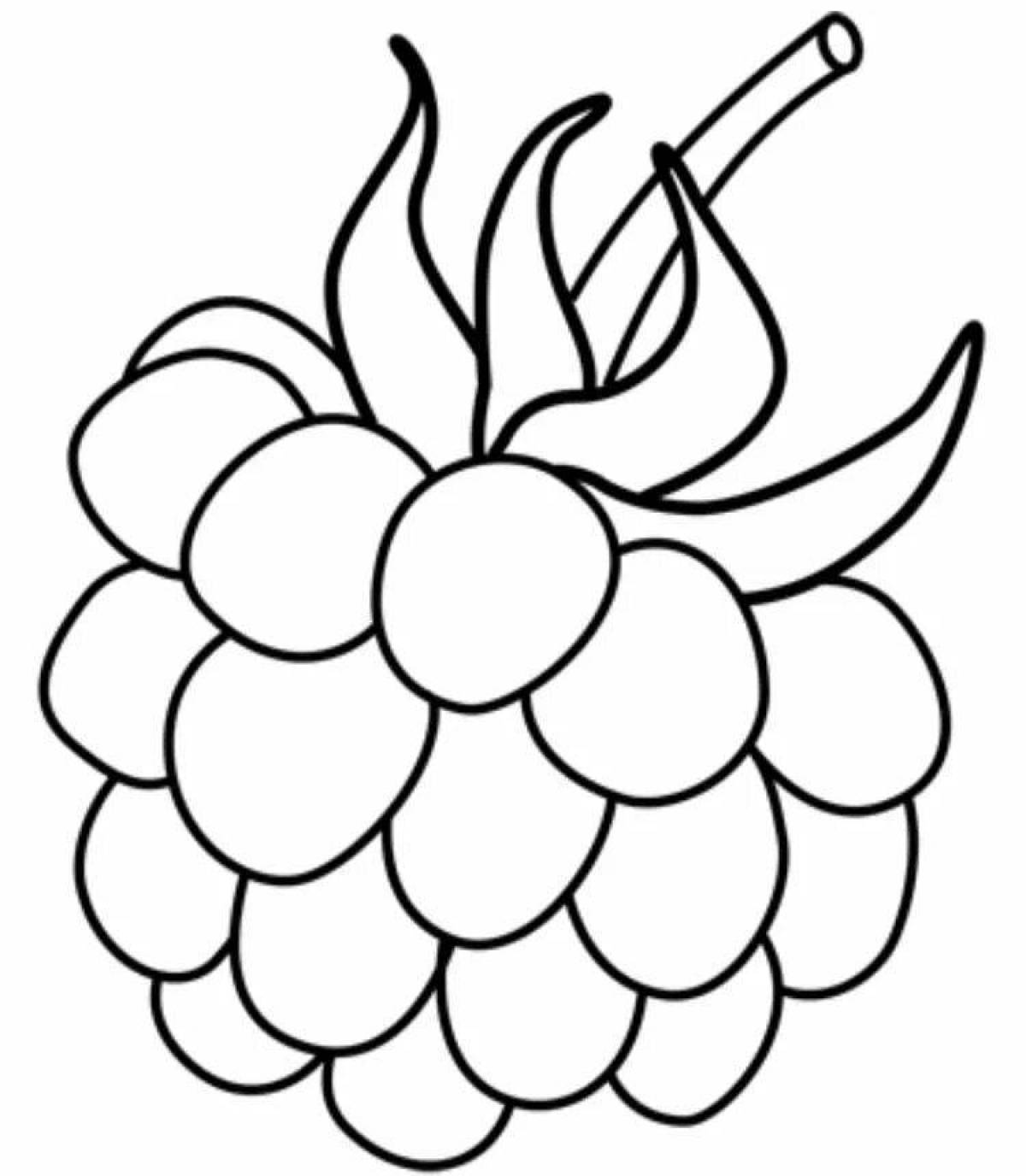 Delightful raspberry coloring book