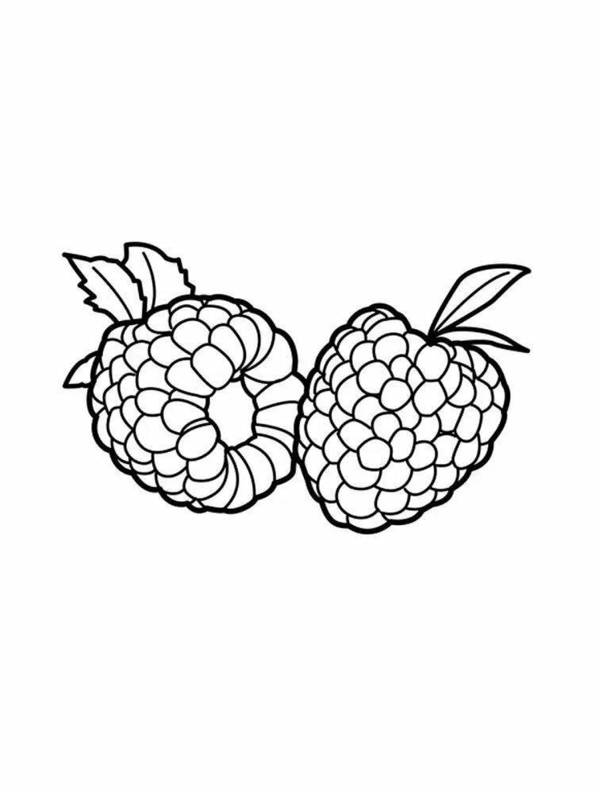 Coloring book gorgeous raspberry