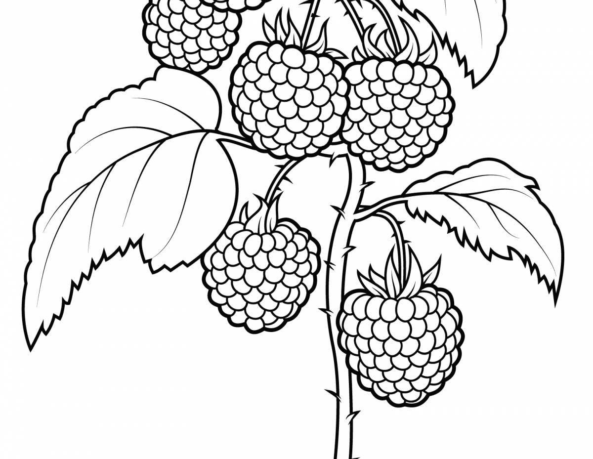 Animated raspberry coloring page