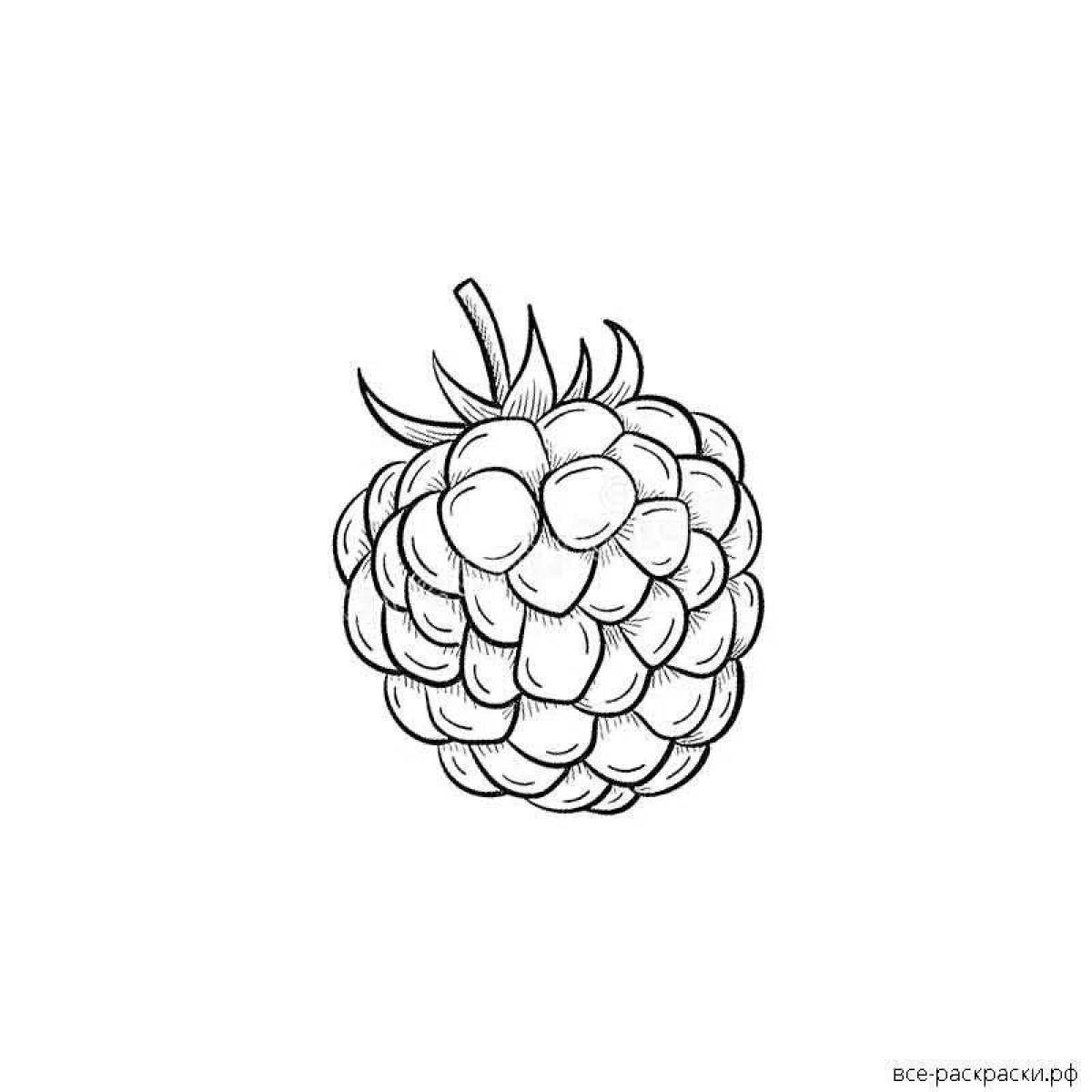 Shimmering raspberry coloring page