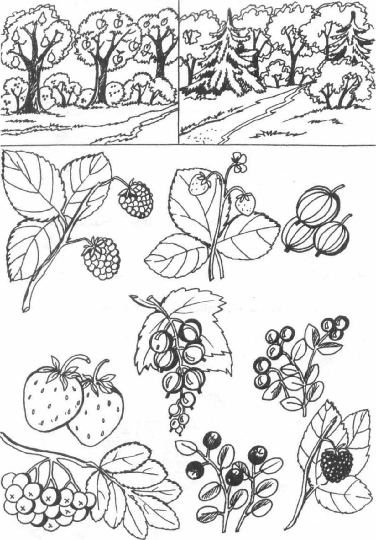 Amazing crop plants coloring page