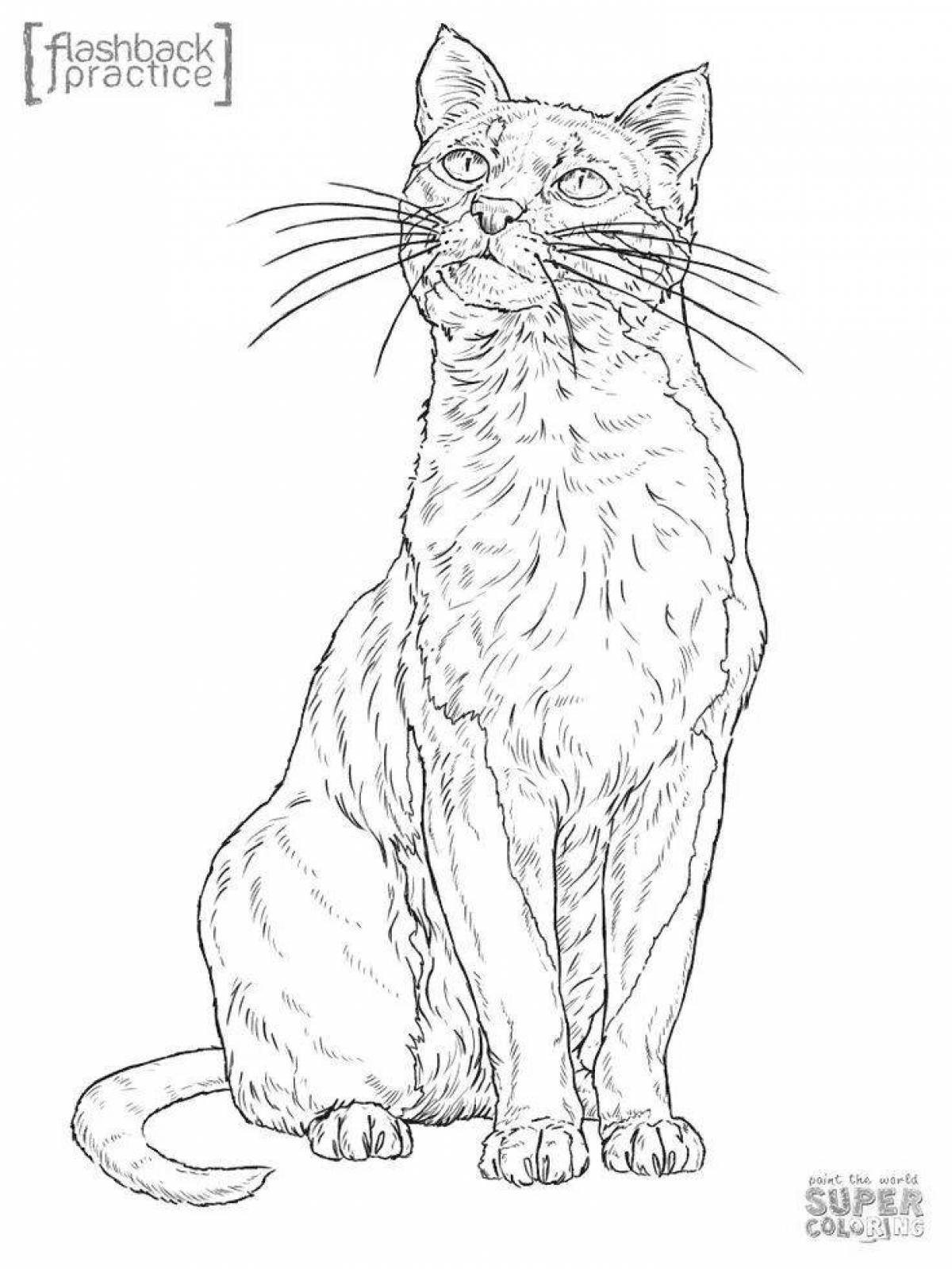 Majestic cat coloring realistic