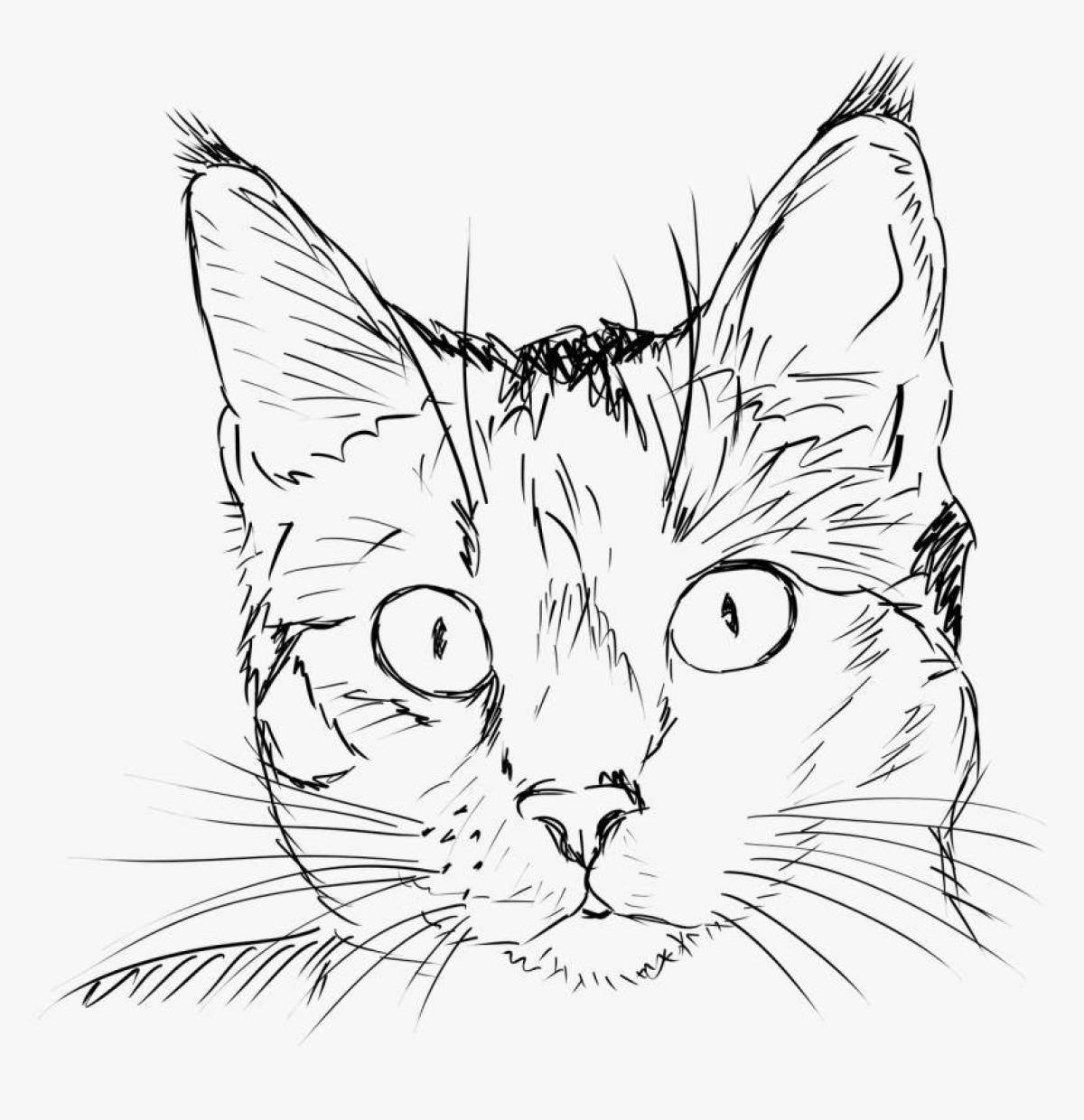 Элегантная раскраска кошка реалистичная