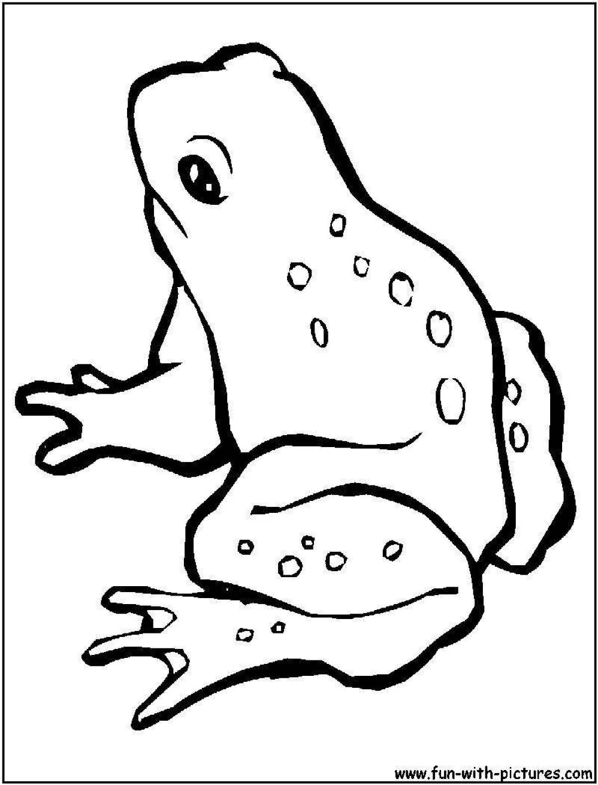 Playful cute frog coloring book