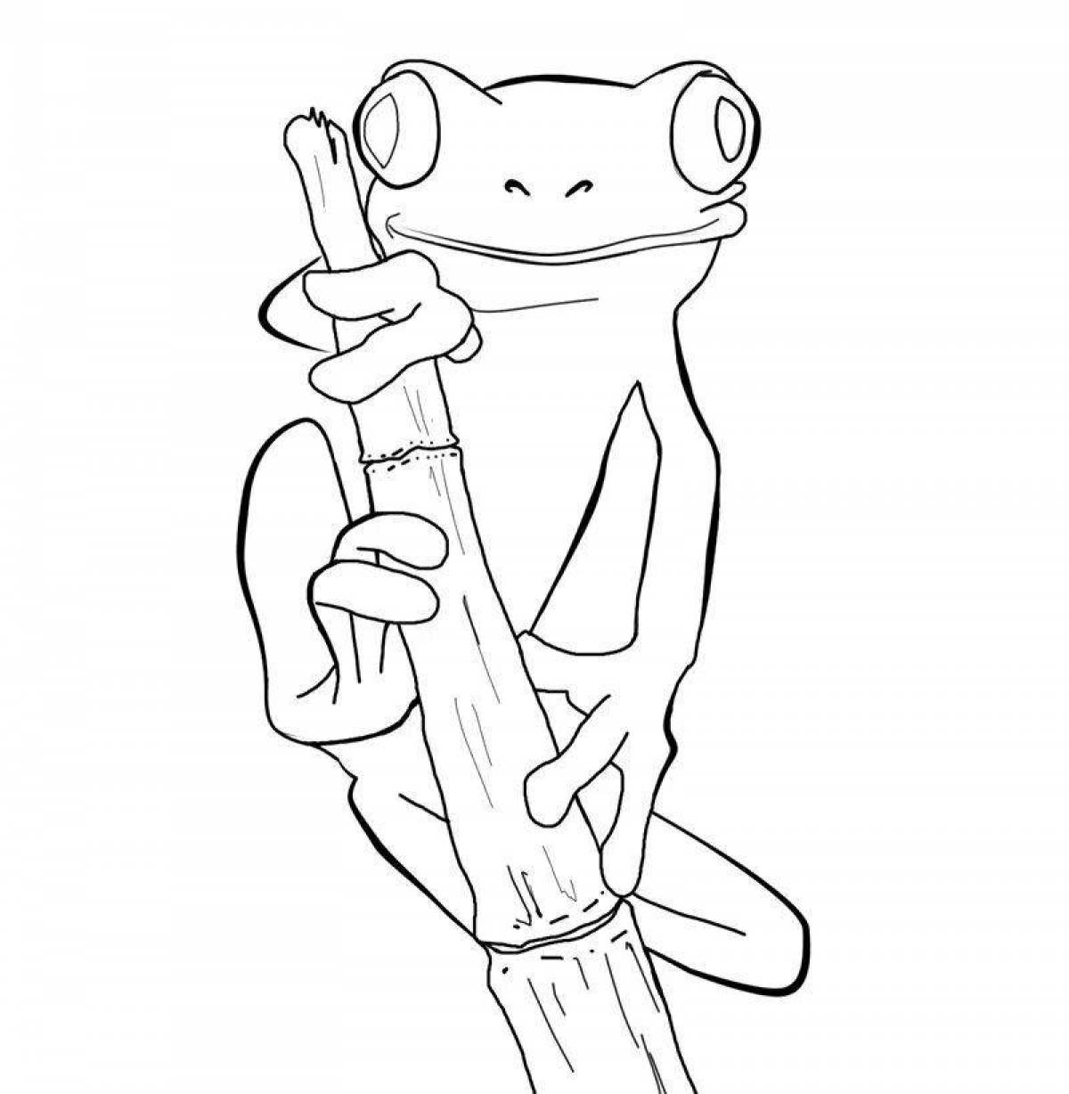 Amazing cute frog coloring book