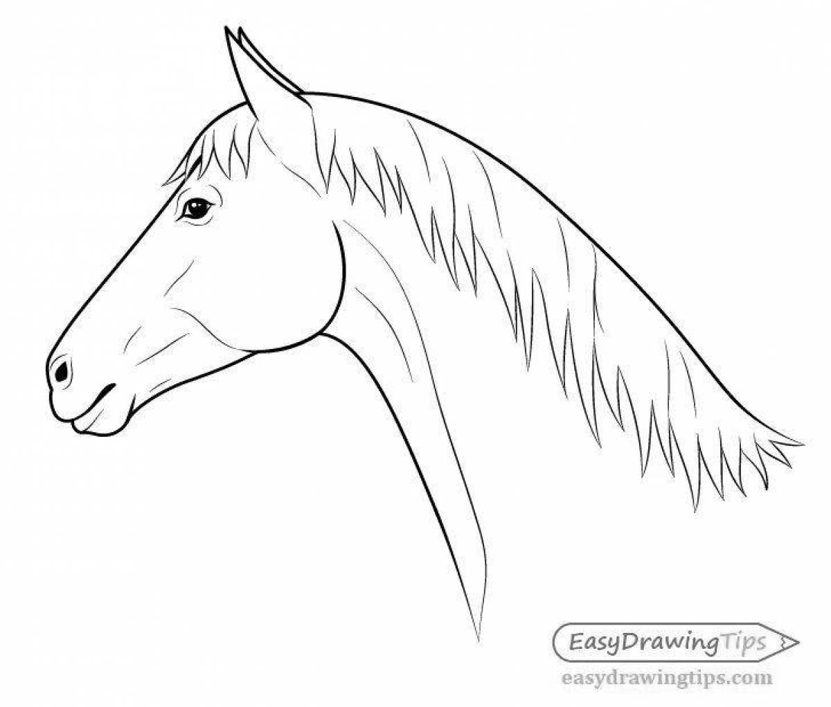 Amazing horse face coloring page