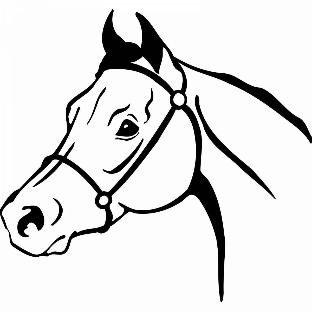 Great horse face coloring book