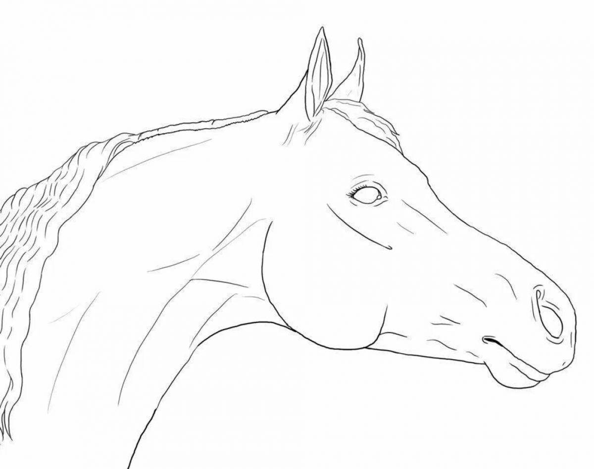 Славная раскраска морда лошади
