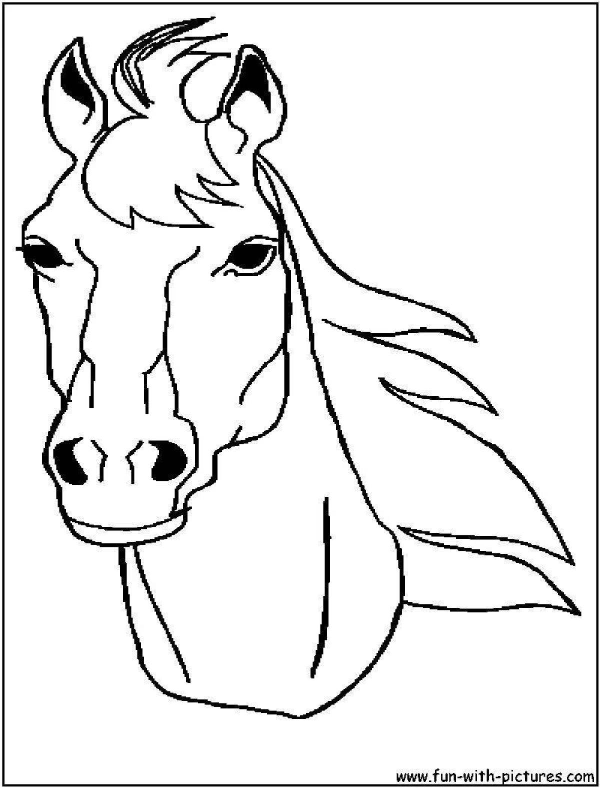 Fun coloring horse face