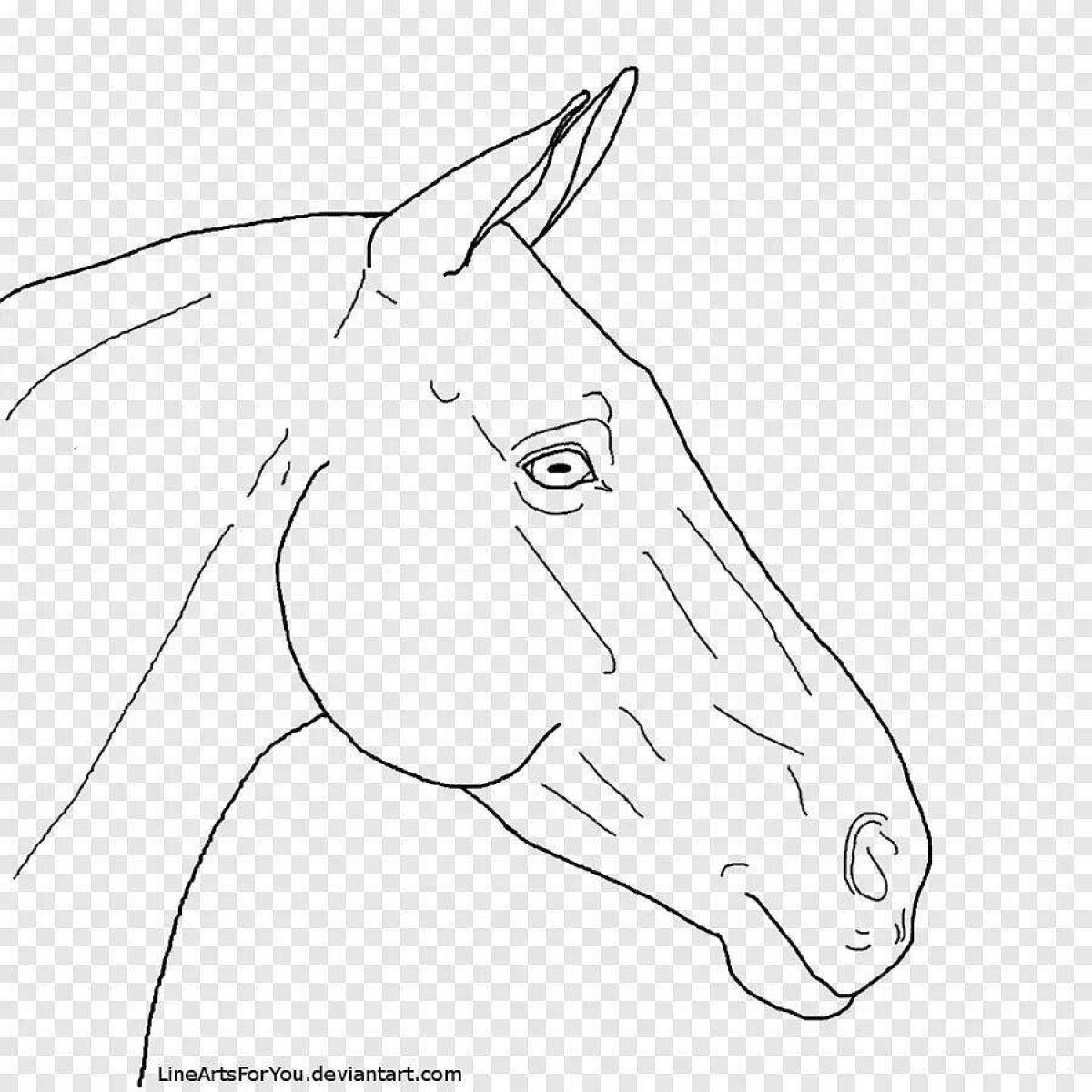Violent coloring horse face