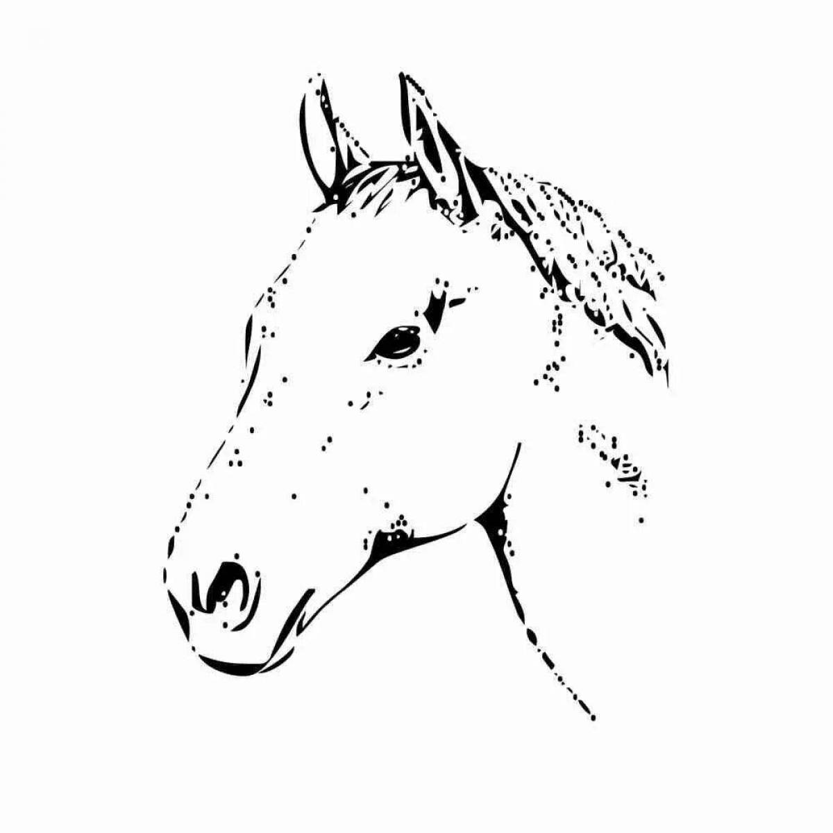 Радостная раскраска морда лошади