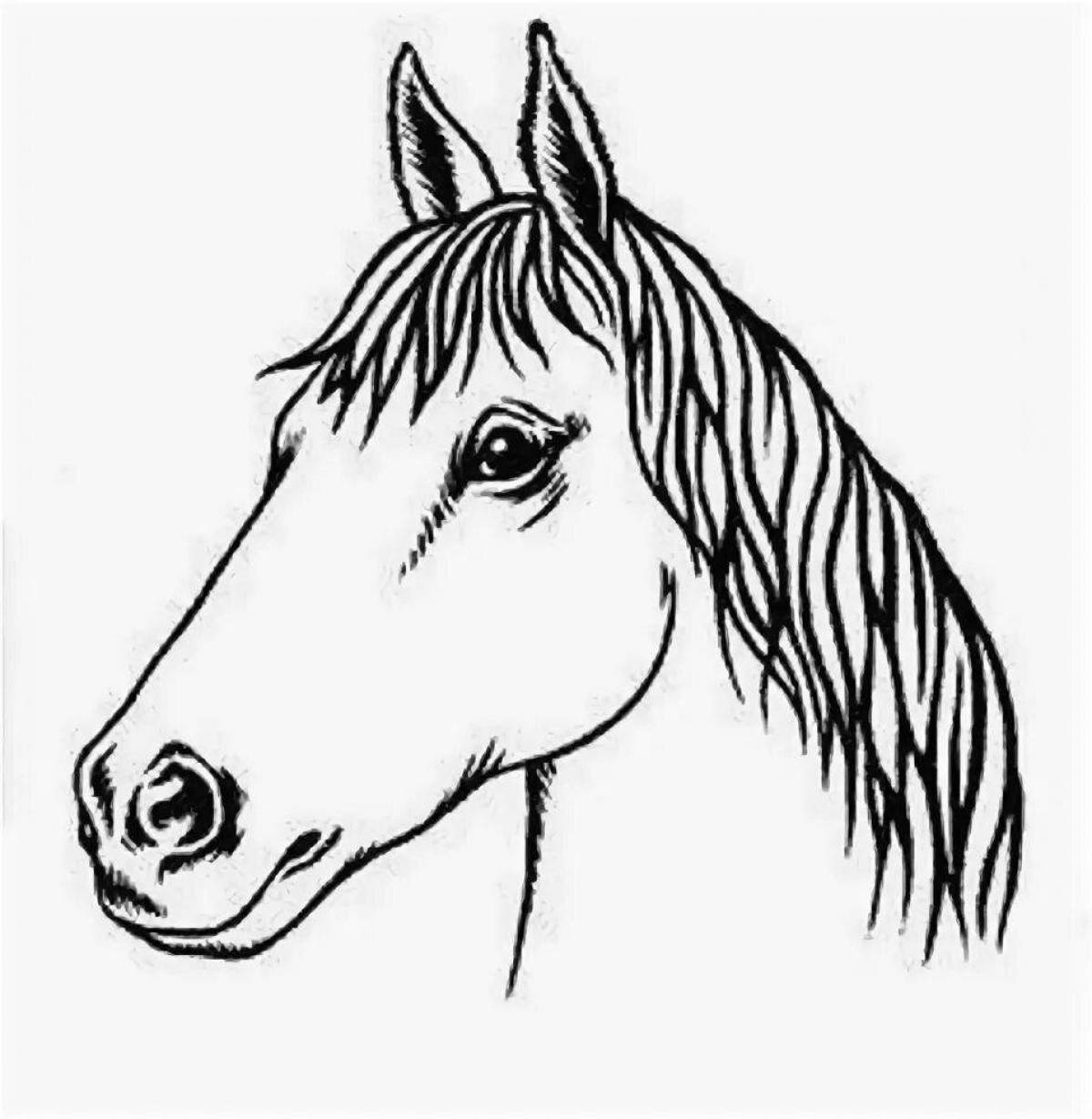 Безмятежная раскраска морда лошади