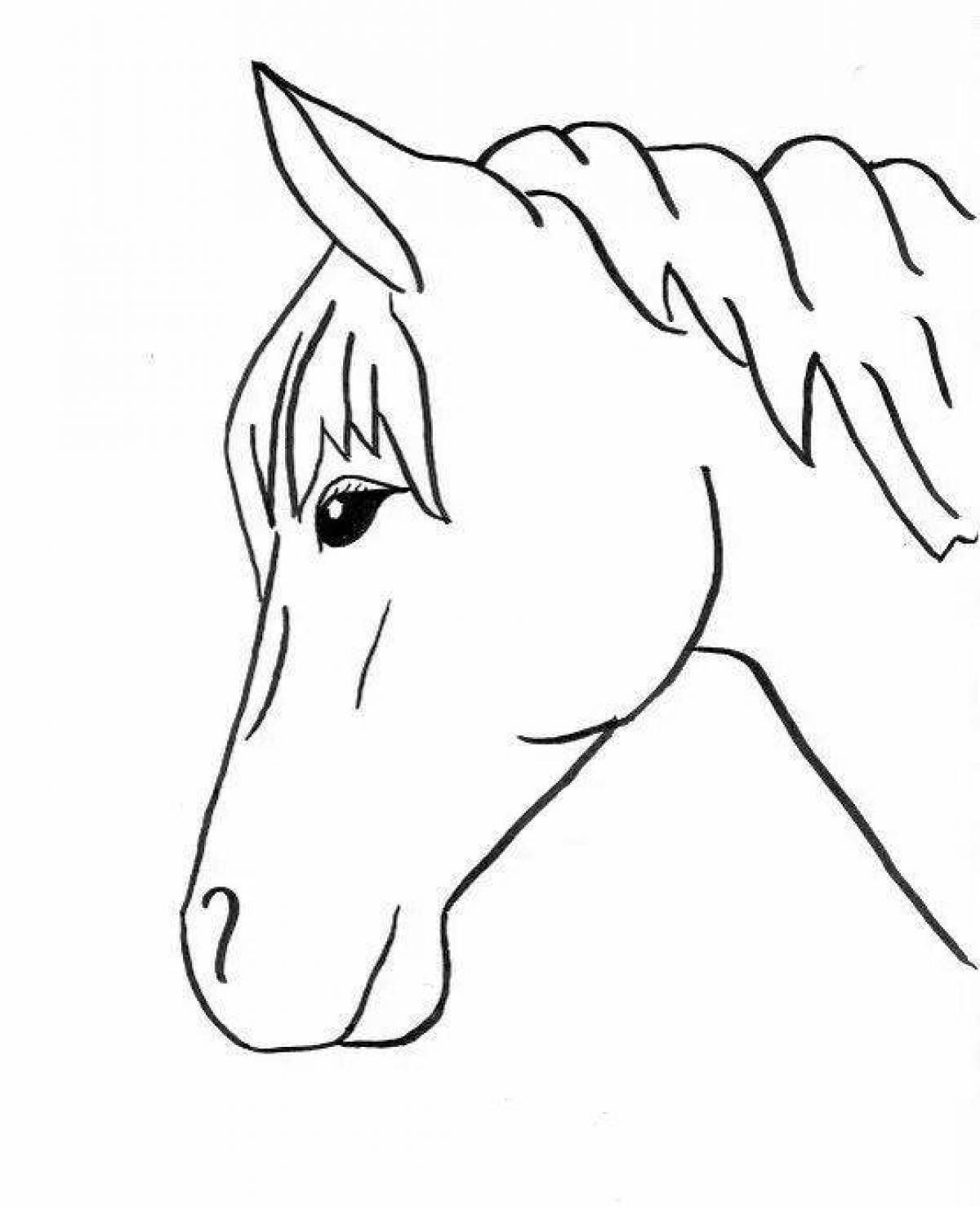 Живая раскраска морда лошади